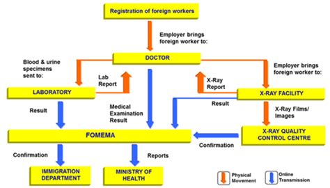 merts 3.0|FOMEMA medical screening process flow (FOMEMA, 2020).